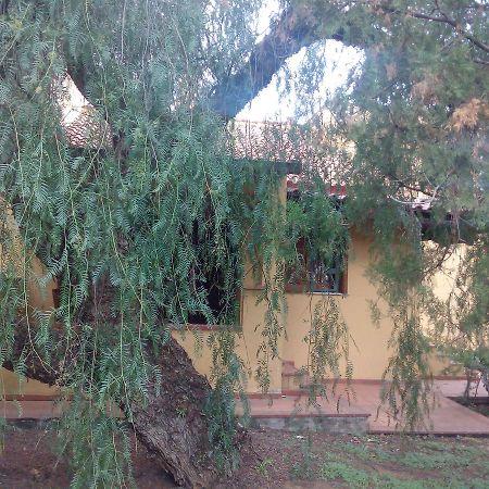 B&B Eleonora Palermo Bagian luar foto